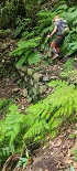 Plants: image 37 Of 208 Thumb